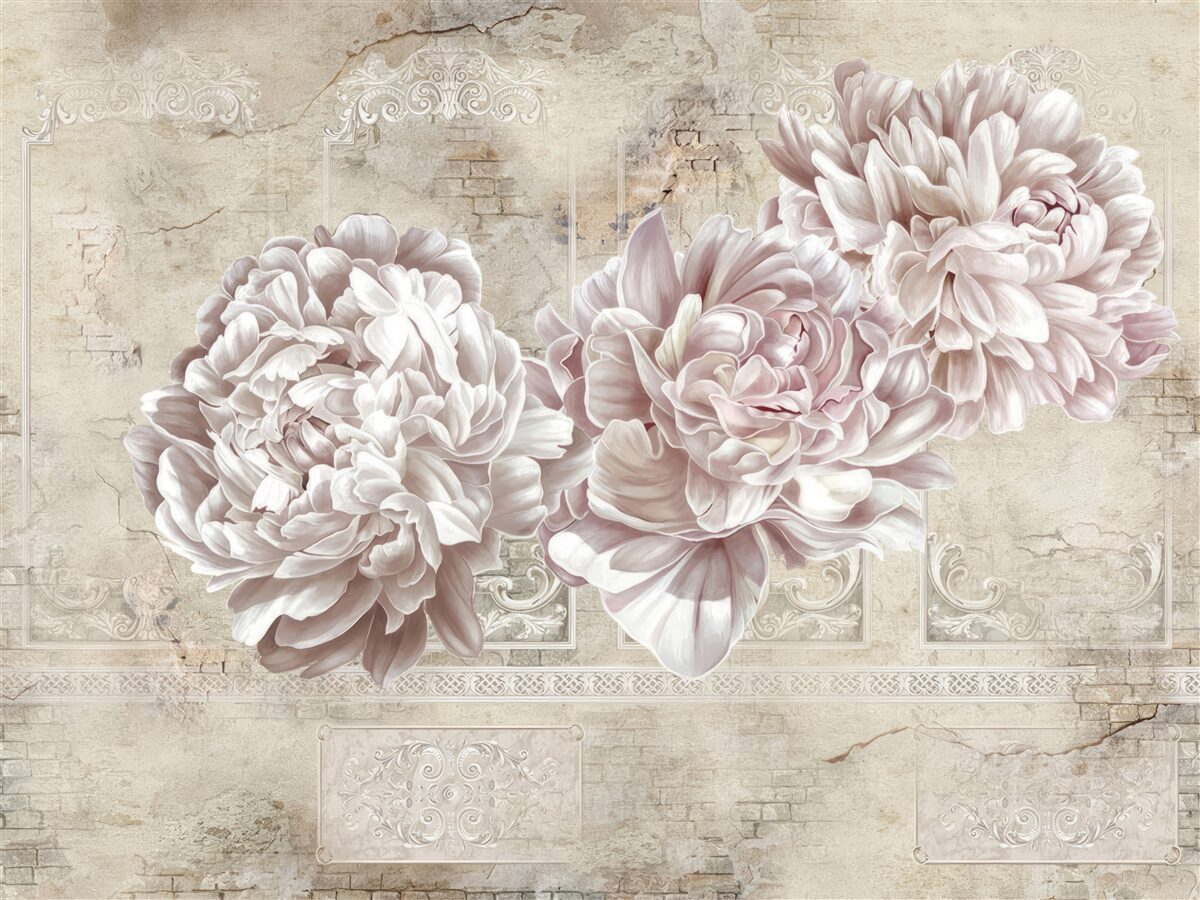 Fototapeta duże jasne piwonie