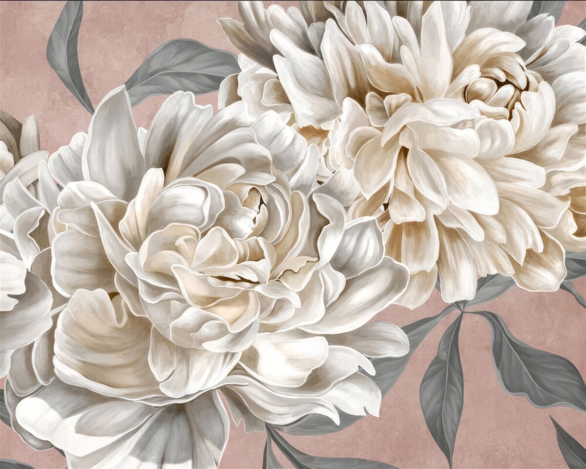 Fototapeta ogromne śnieżnobiałe piwonie