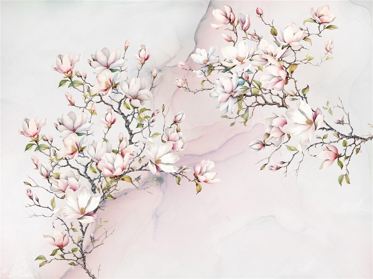 Fototapeta gałęzie białej i różowej magnolii są pełne wdzięku i piękne