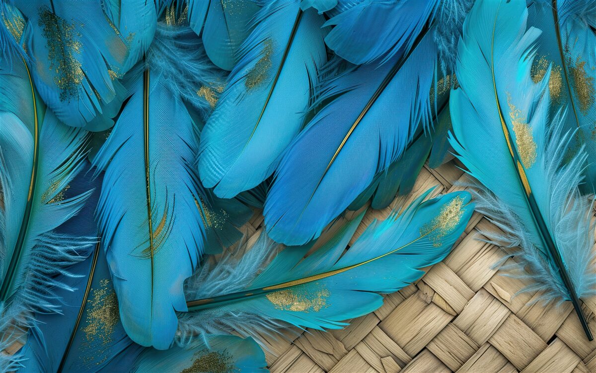 Fototapeta piękne puszyste pióra o bogatym niebieskim kolorze