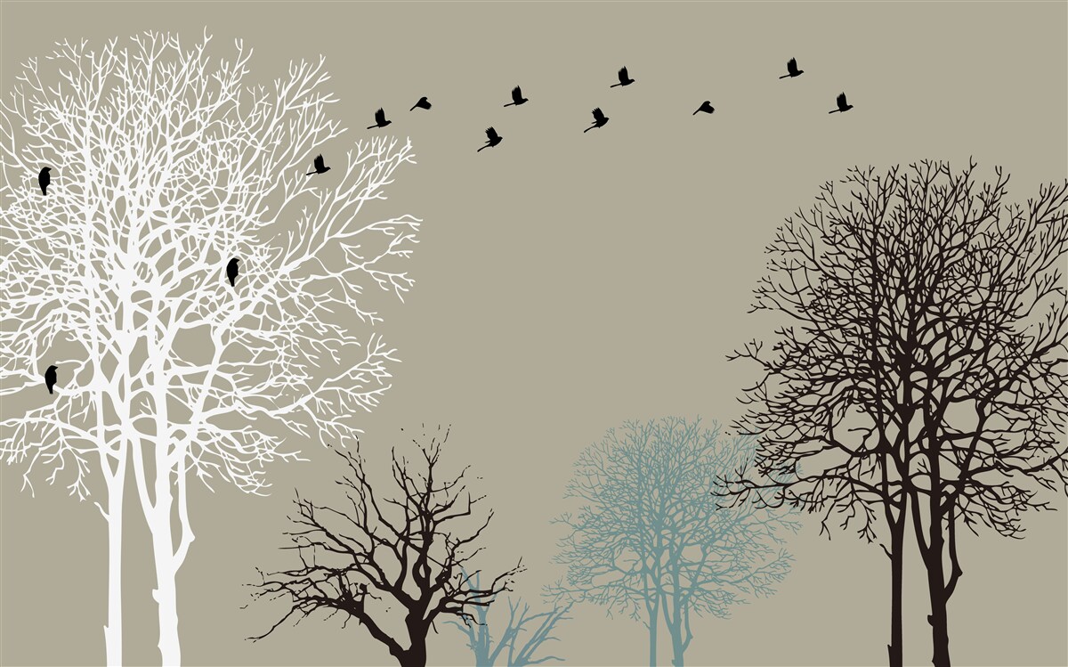 Fototapeta ptaki latają nad wierzchołkami drzew