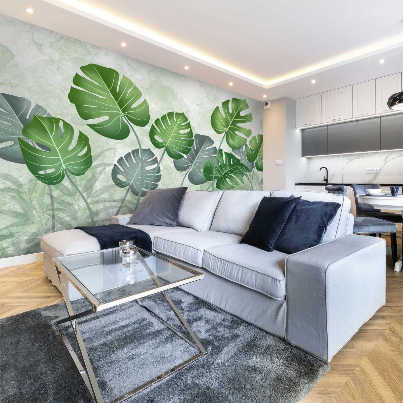 Fototapeta duże liście monstery i paproci