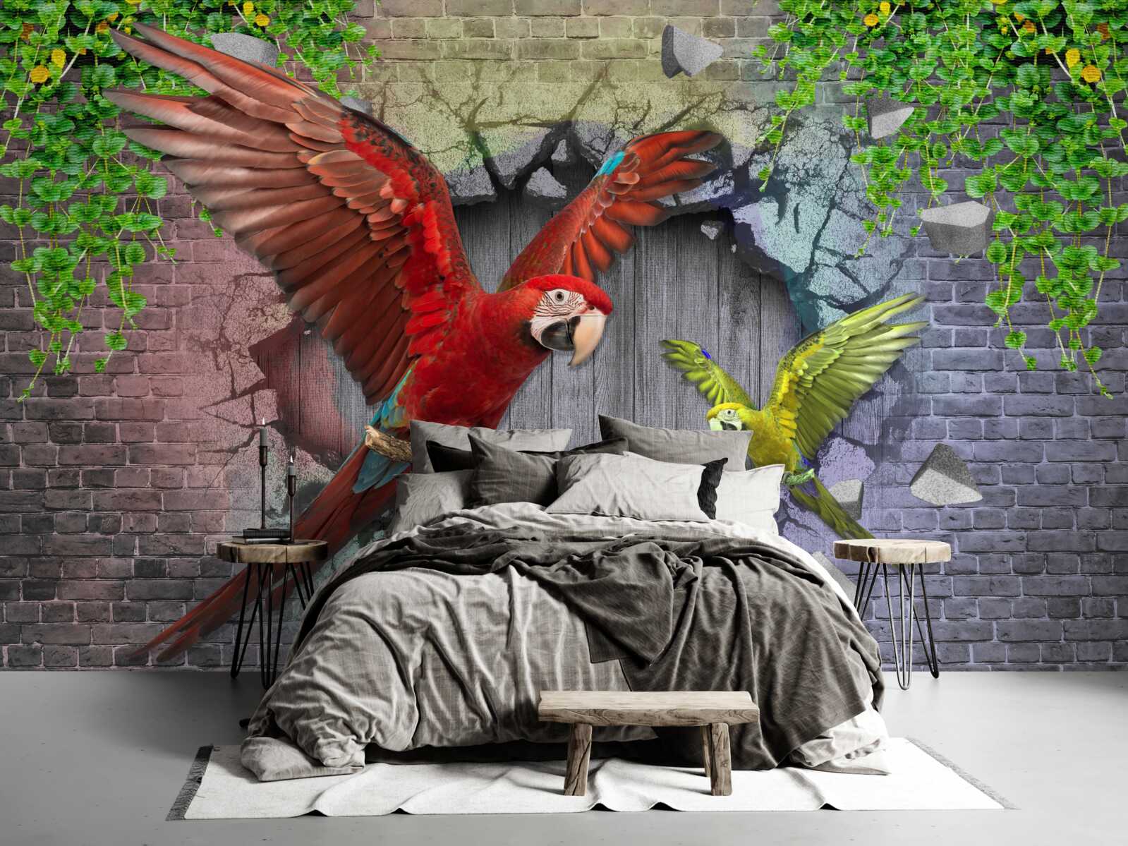 Fototapeta papugi przechodzą przez ścianę