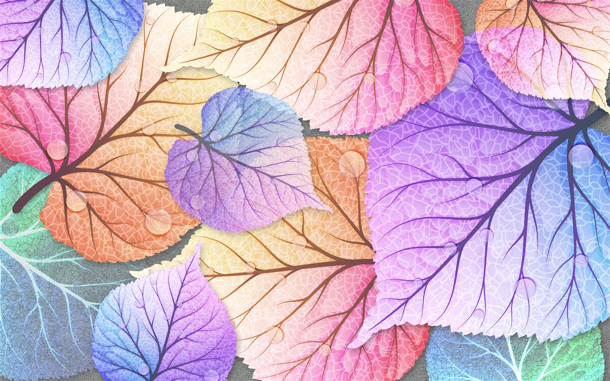 Fototapeta jesienne liście pomalowane w jasnych kolorach