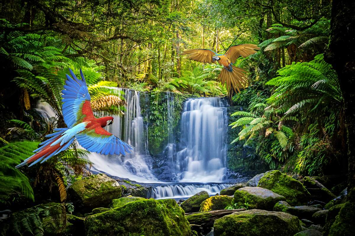 Fototapeta ukryty wodospad w lesie