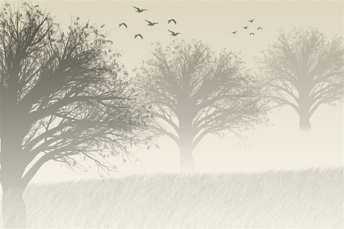 Fototapeta ptaki odlatują na zimę