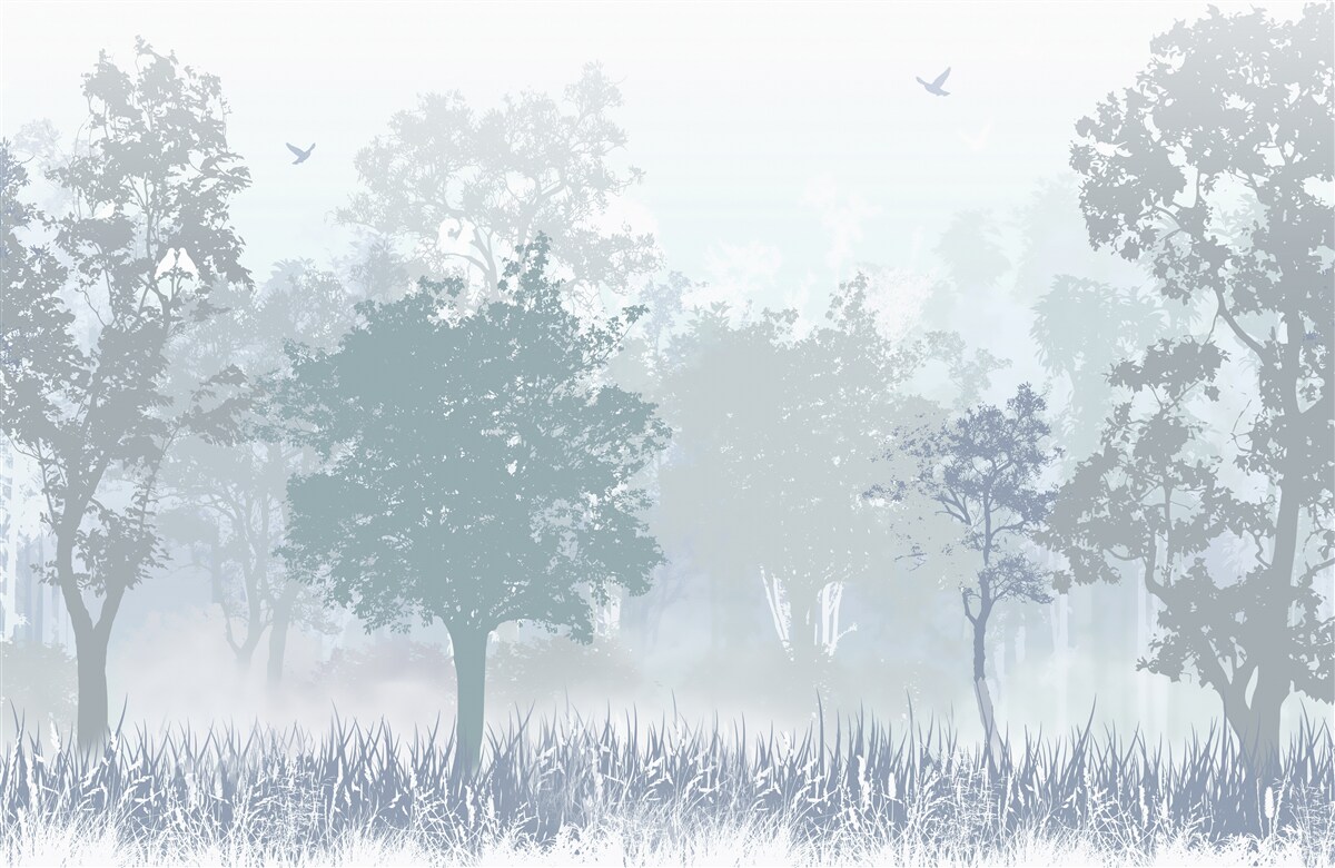 Fototapeta poranny las spowity mgłą