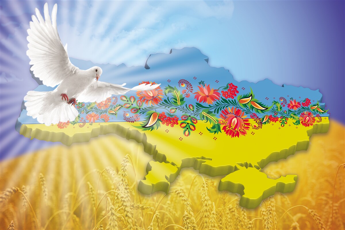 Fototapeta gołąb pokoju i mapa ukrainy