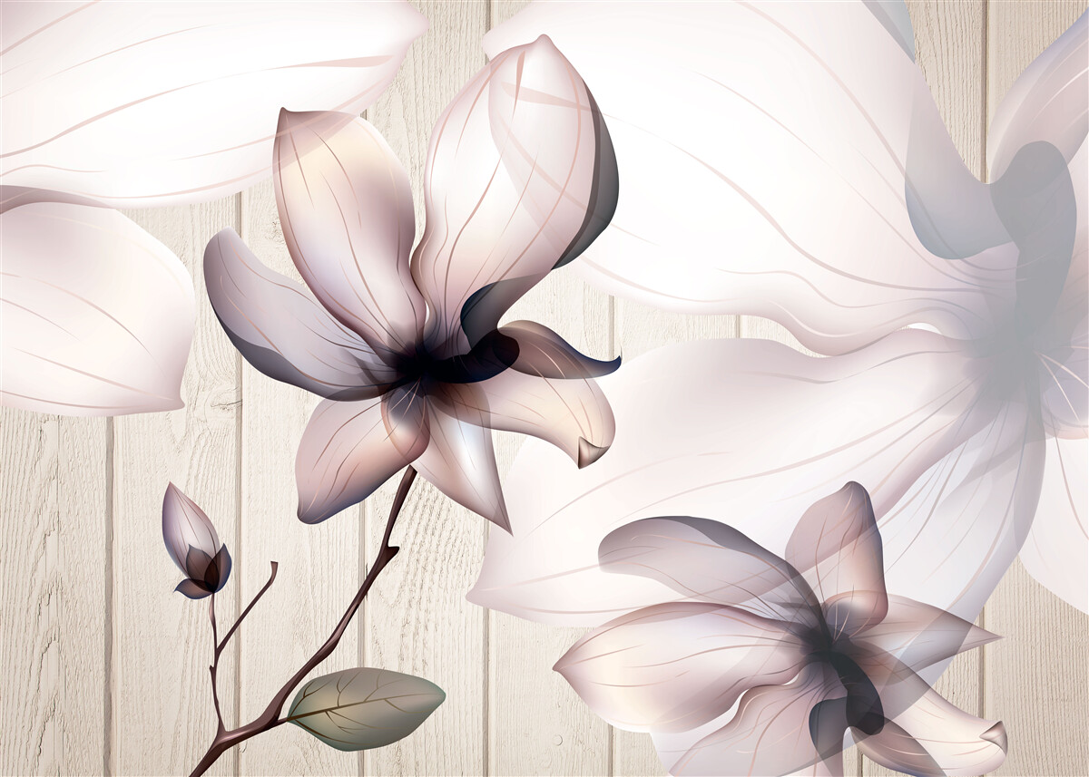 Fototapeta duże jasne kwiaty na drzewie