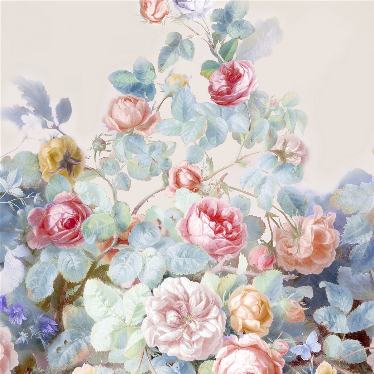 Fototapeta pąki róż malowane akwarelą