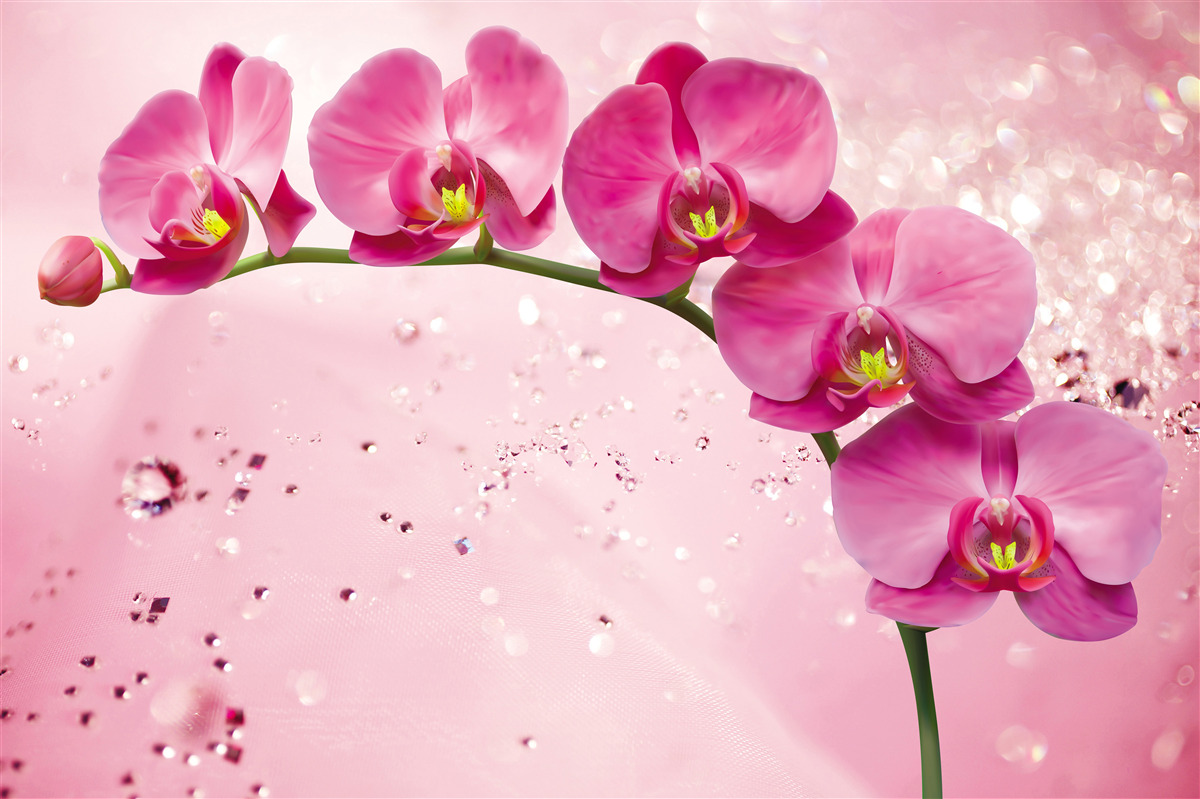 Fototapeta czerwona orchidea na gałęzi