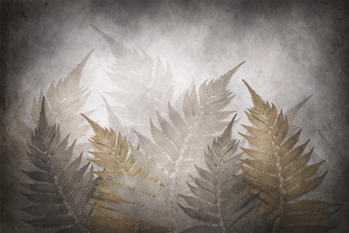 Fototapeta liście paproci spowite mgłą w lesie