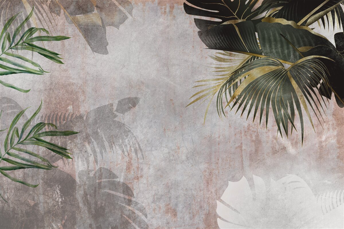 Fototapeta mglista pokrywa dżungli obwieszona liśćmi