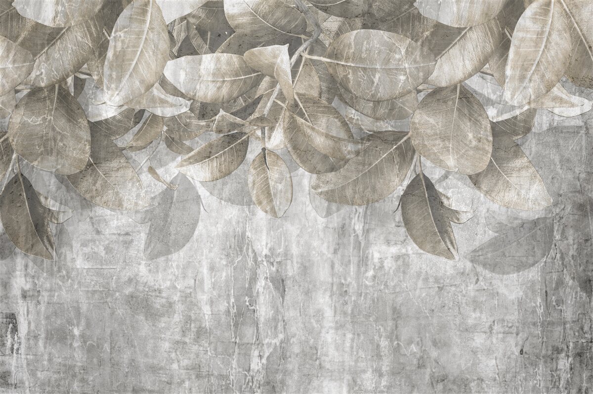 Fototapeta liście eukaliptusa opadają na ziemię