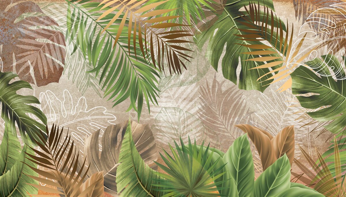 Fototapeta różnorodność zielonych paproci