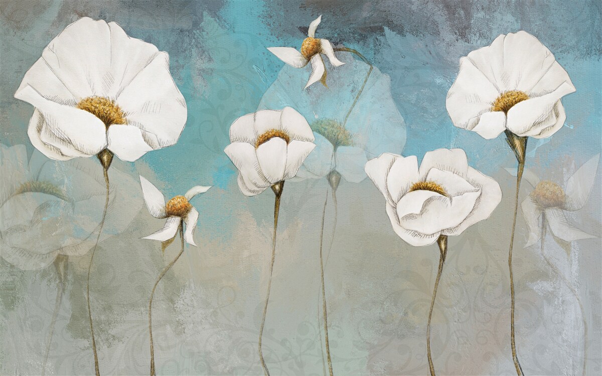 Fototapeta delikatne białe kwiaty maku