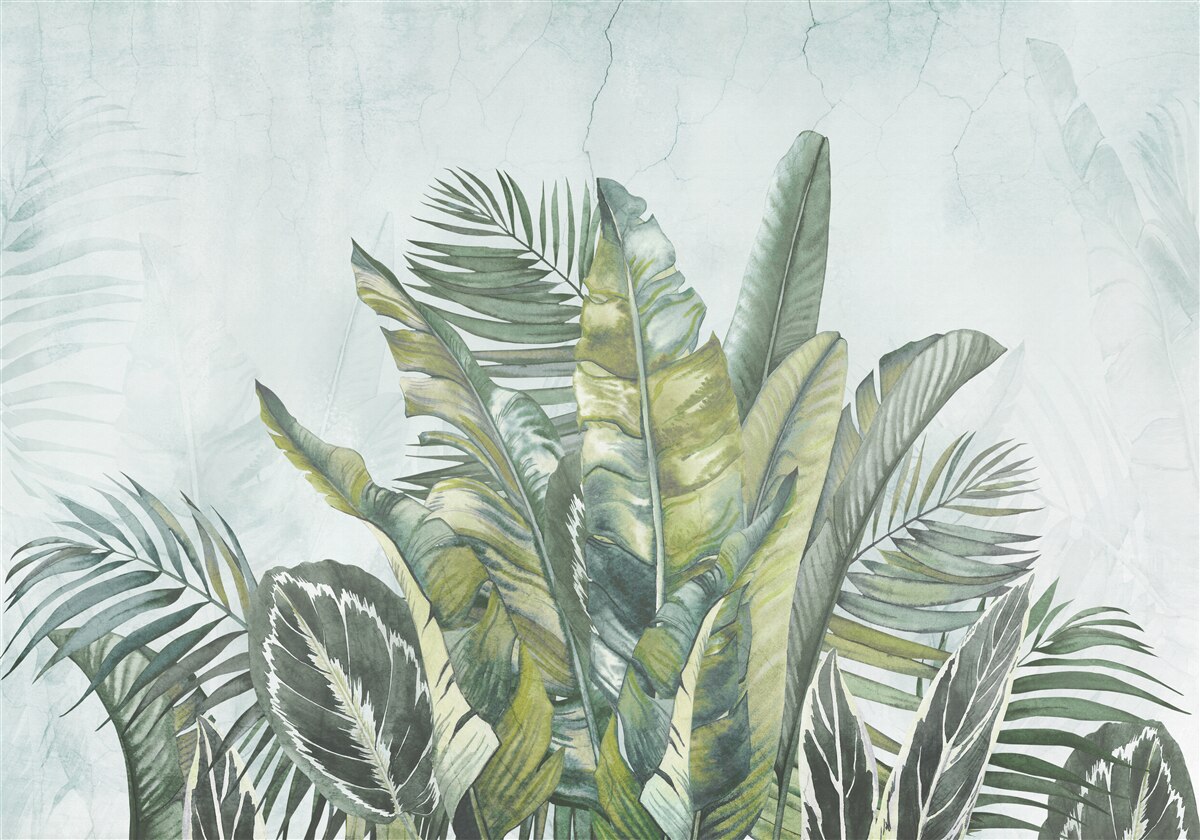 Fototapeta zielony gąszcz tropikalnej roślinności