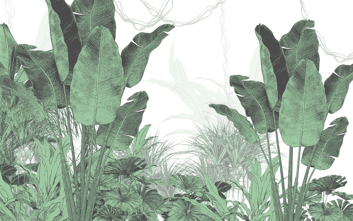 Fototapeta duże tropikalne liście znacznych rozmiarów