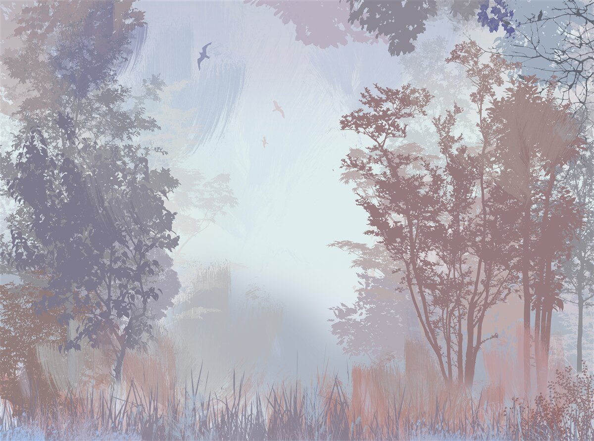 Fototapeta poranek w lesie jesienią