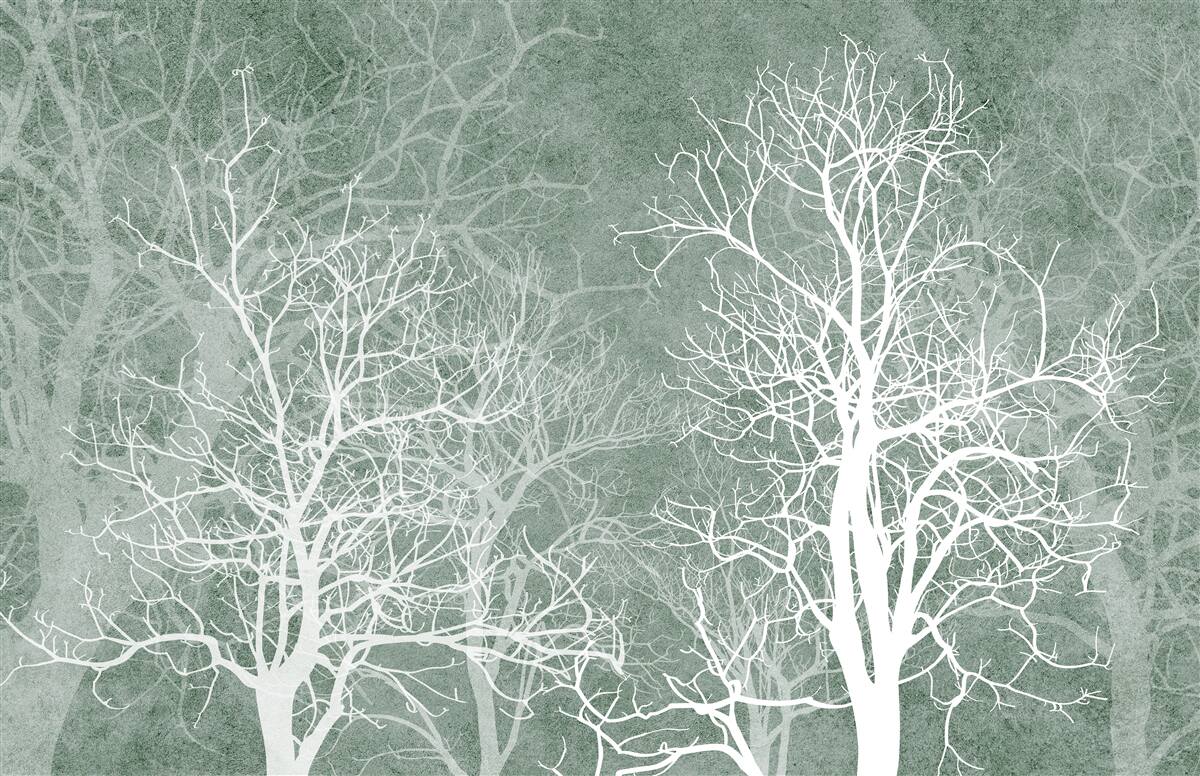 Fototapeta drzewa w śnieżnobiałej dekoracji na tle nocnego nieba