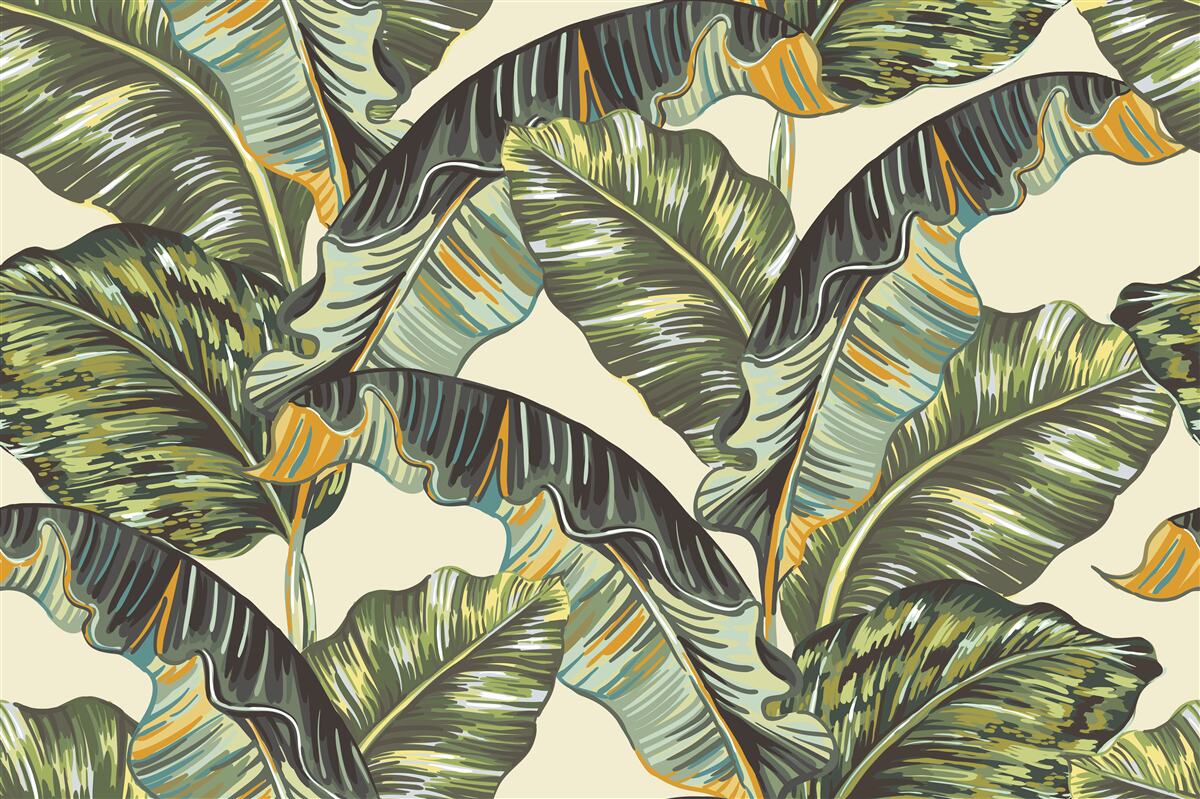 Fototapeta wiele odcieni na liściach paproci