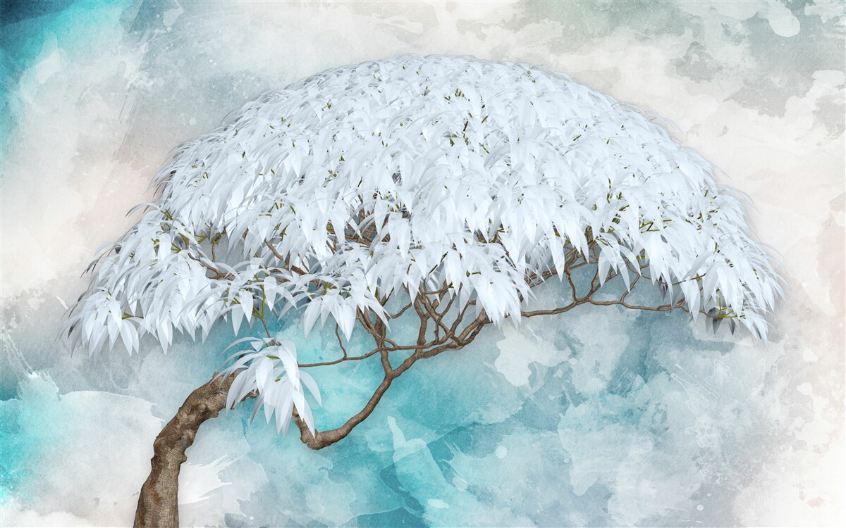 Fototapeta pod osłoną nocy kryje się śnieżnobiała bujna paproć