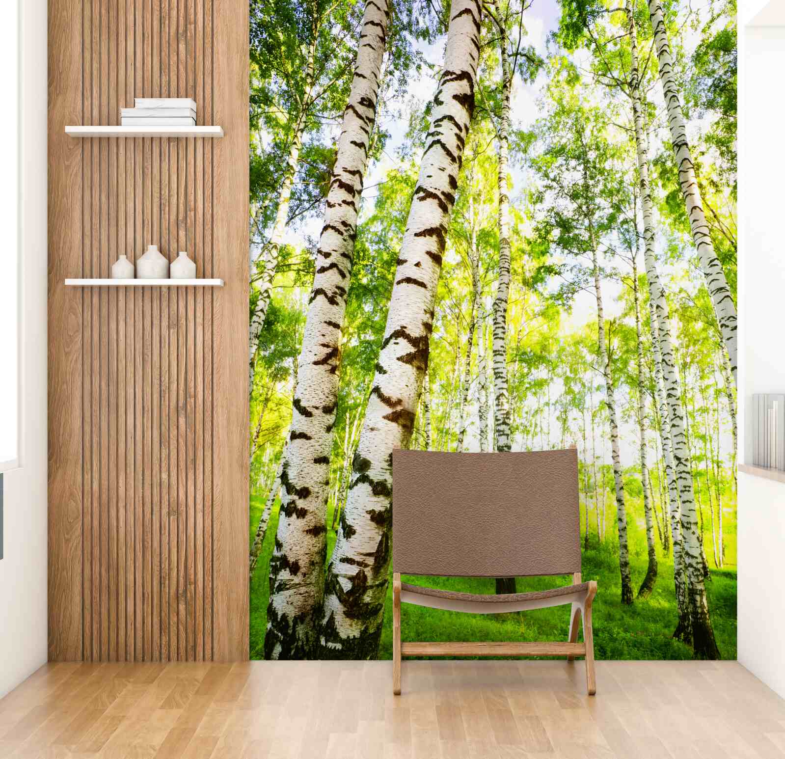 Fototapeta letni gaj smukłych brzóz