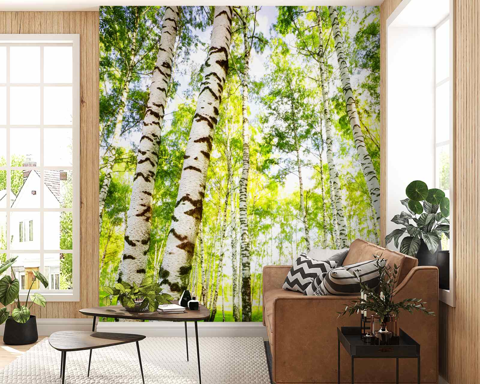 Fototapeta letni gaj smukłych brzóz