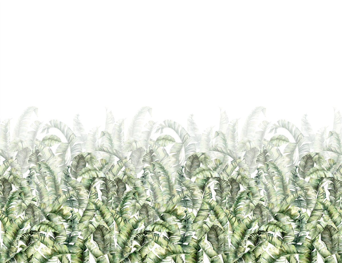 Fototapeta gęsta biała paproć i mgła