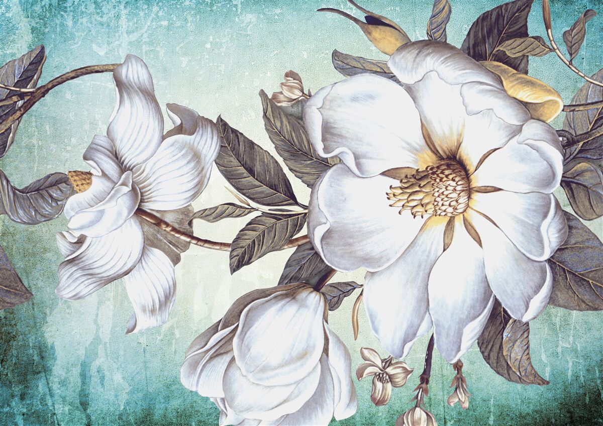 Fototapeta kwitną śnieżnobiałe kwiaty