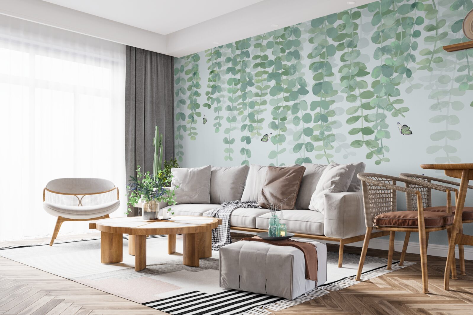 Fototapeta liście eukaliptusa są zielone