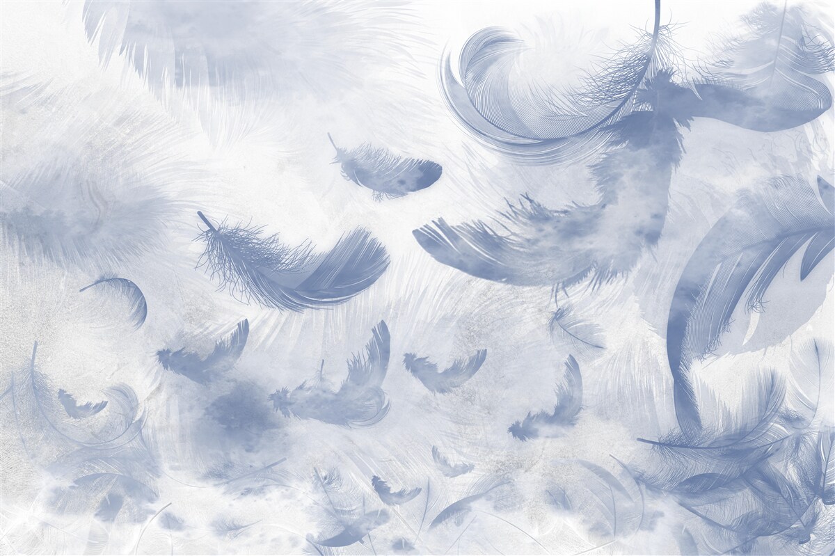 Fototapeta latające pióra nieba