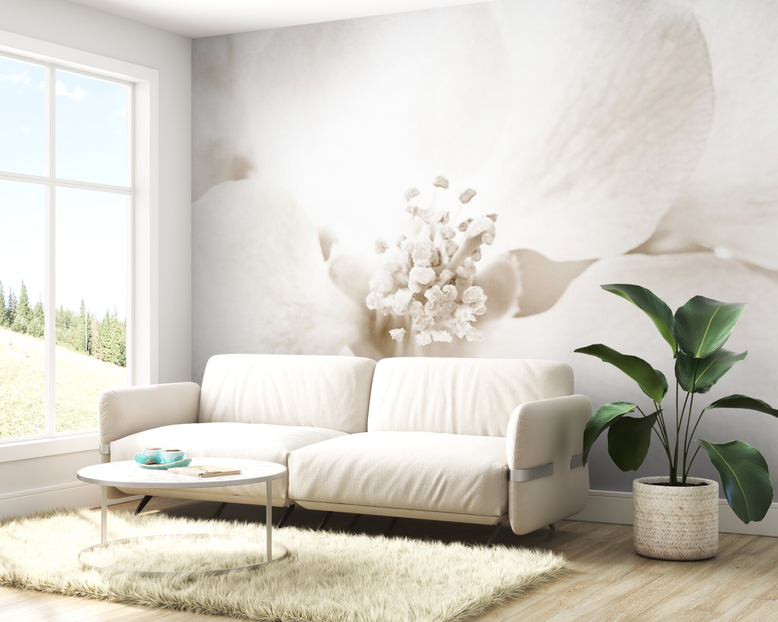 Fototapeta duży delikatny pączek orchidei