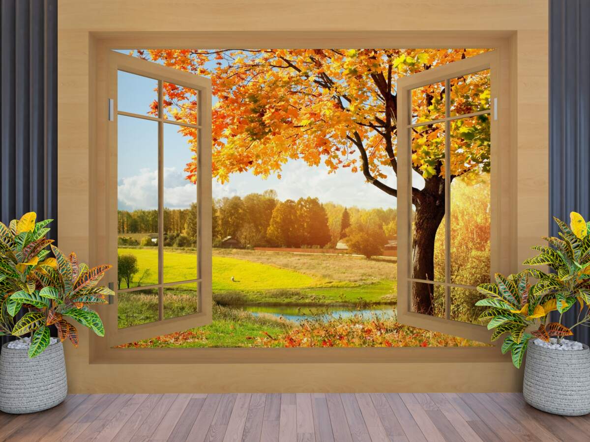 Fototapeta jesienny widok z okna
