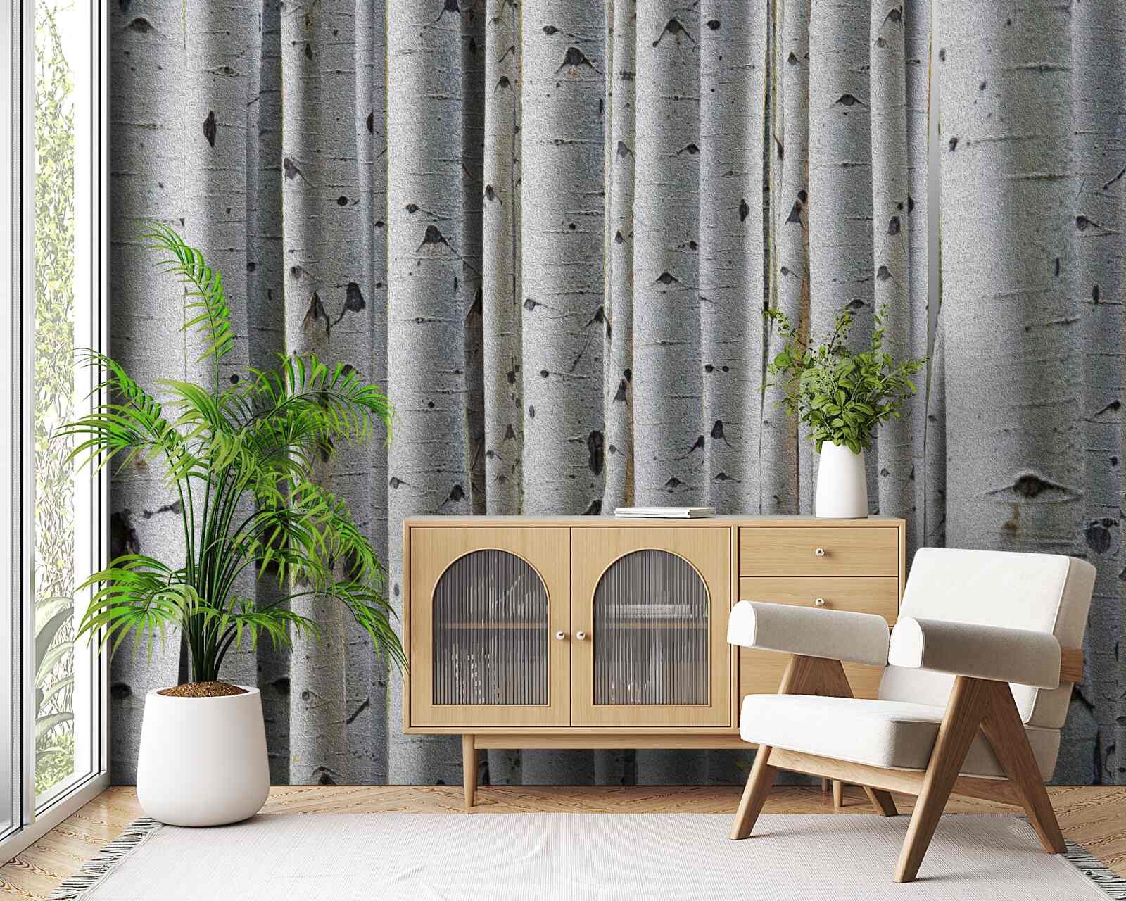 Fototapeta brzozowy las