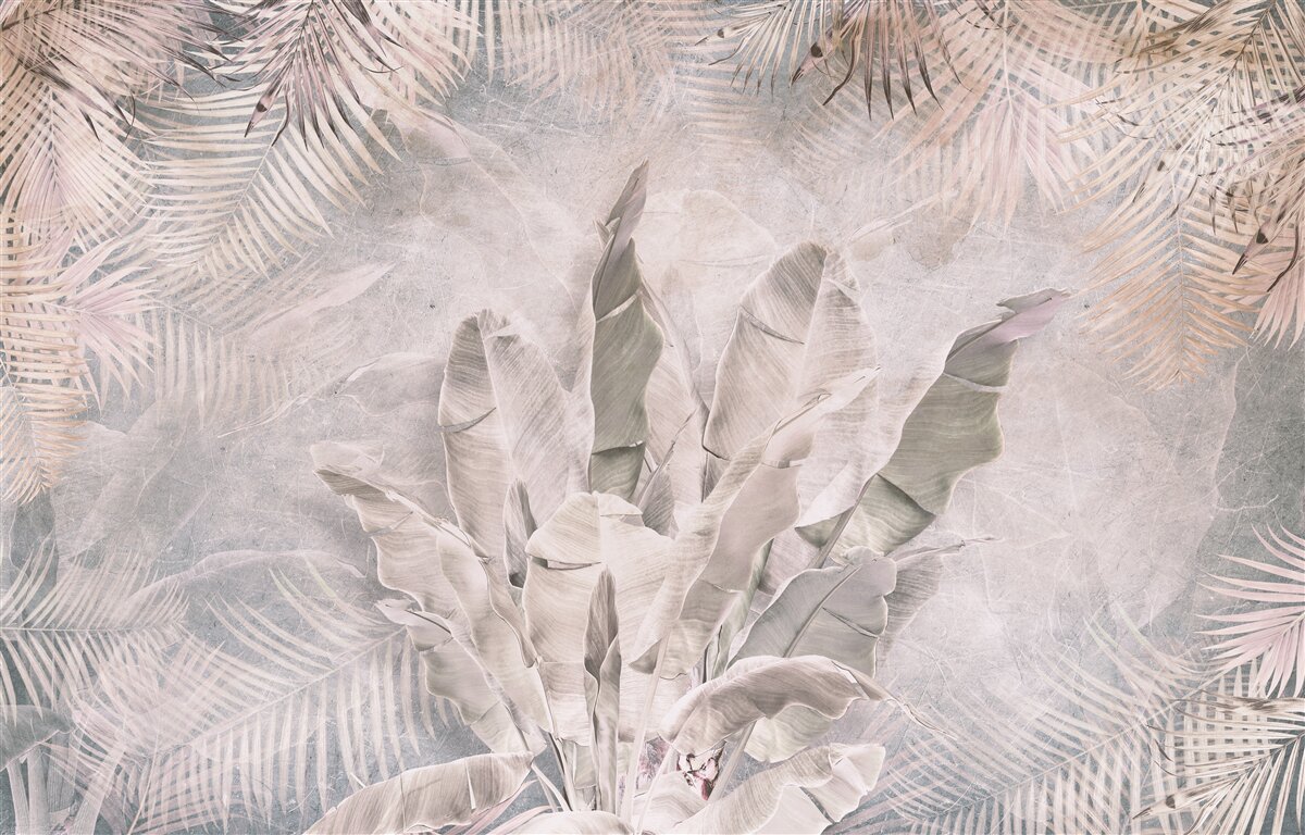 Fototapeta kompozycja z liśćmi tropikalnymi