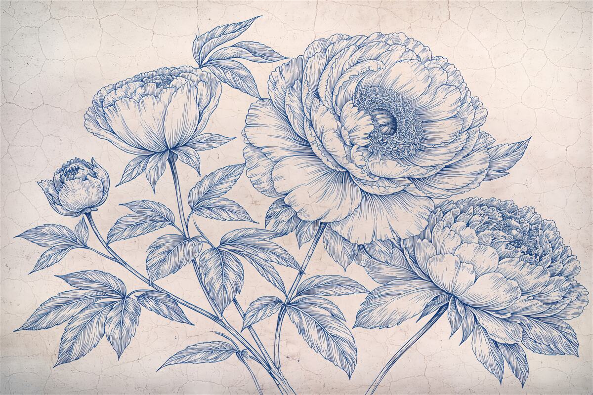 Fototapeta botaniczne piwonie w stylu vintage