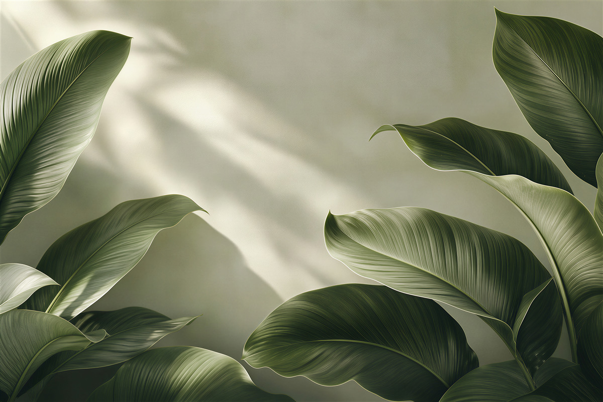 Fototapeta duże zielone liście w świetle nowoczesna botaniczna