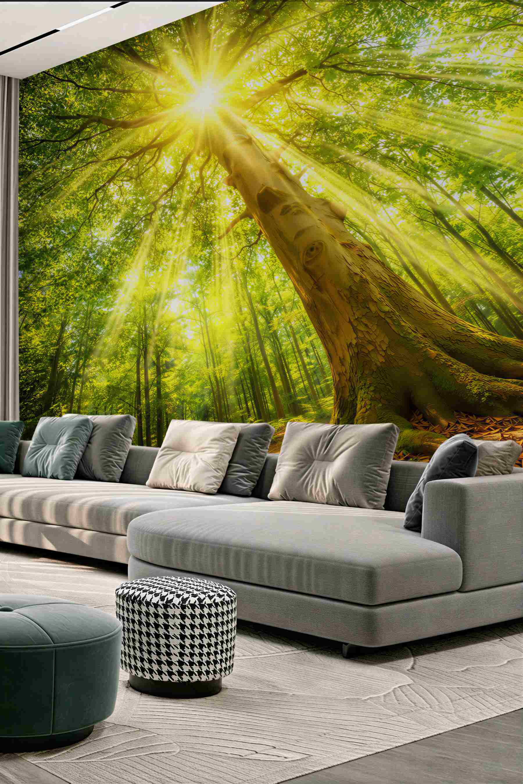 Fototapeta słoneczny las z promieniami słońca zielona natura