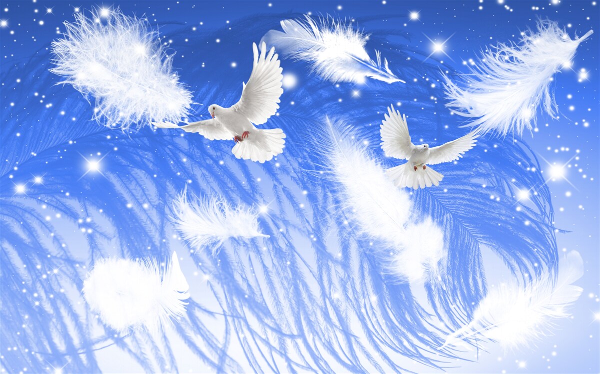 Fototapeta poruszanie się w atmosferze jasnych ptaków i ich upierzenia