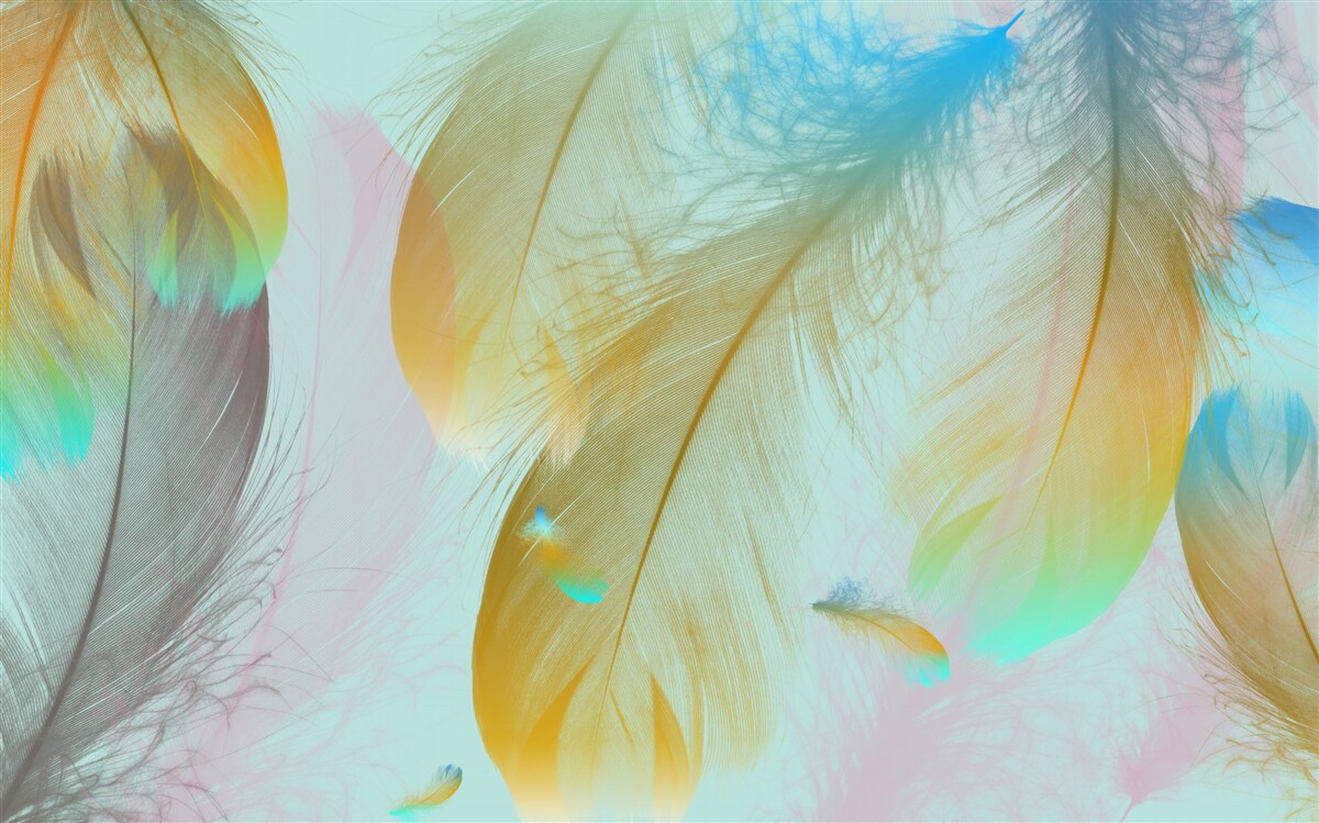 Fototapeta latające miękkie pióra