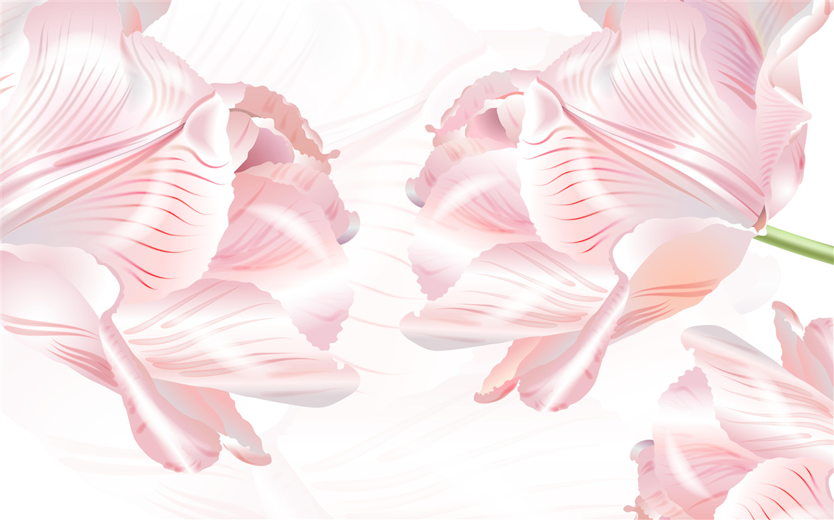 Fototapeta różowe tulipany z romantycznym nastrojem