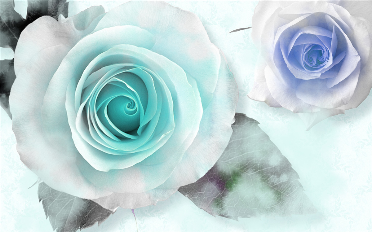 Fototapeta róże w odcieniach błękitu i zieleni