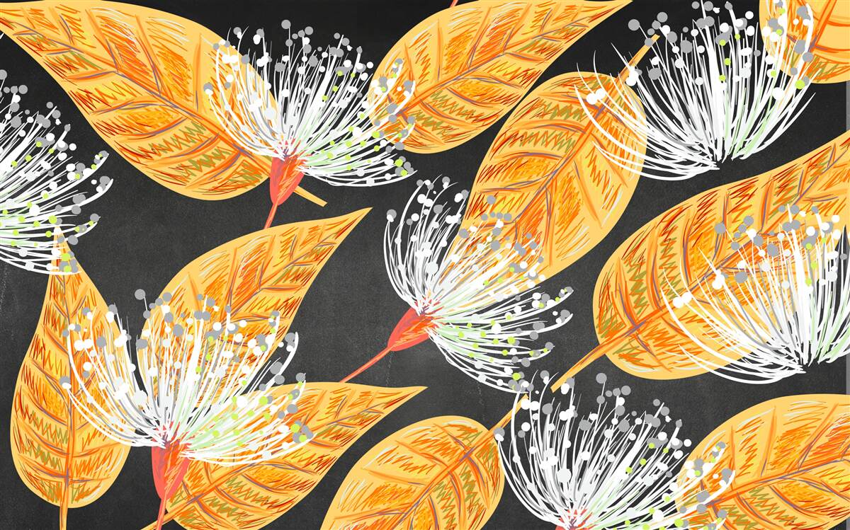 Fototapeta jesienne liście z mniszkami