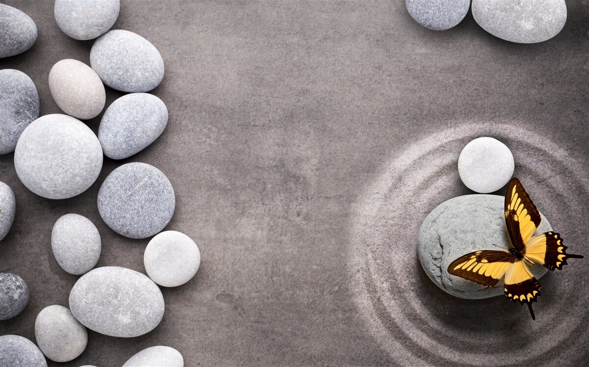 Fototapeta motyl siedzi na kamieniu przy stawie