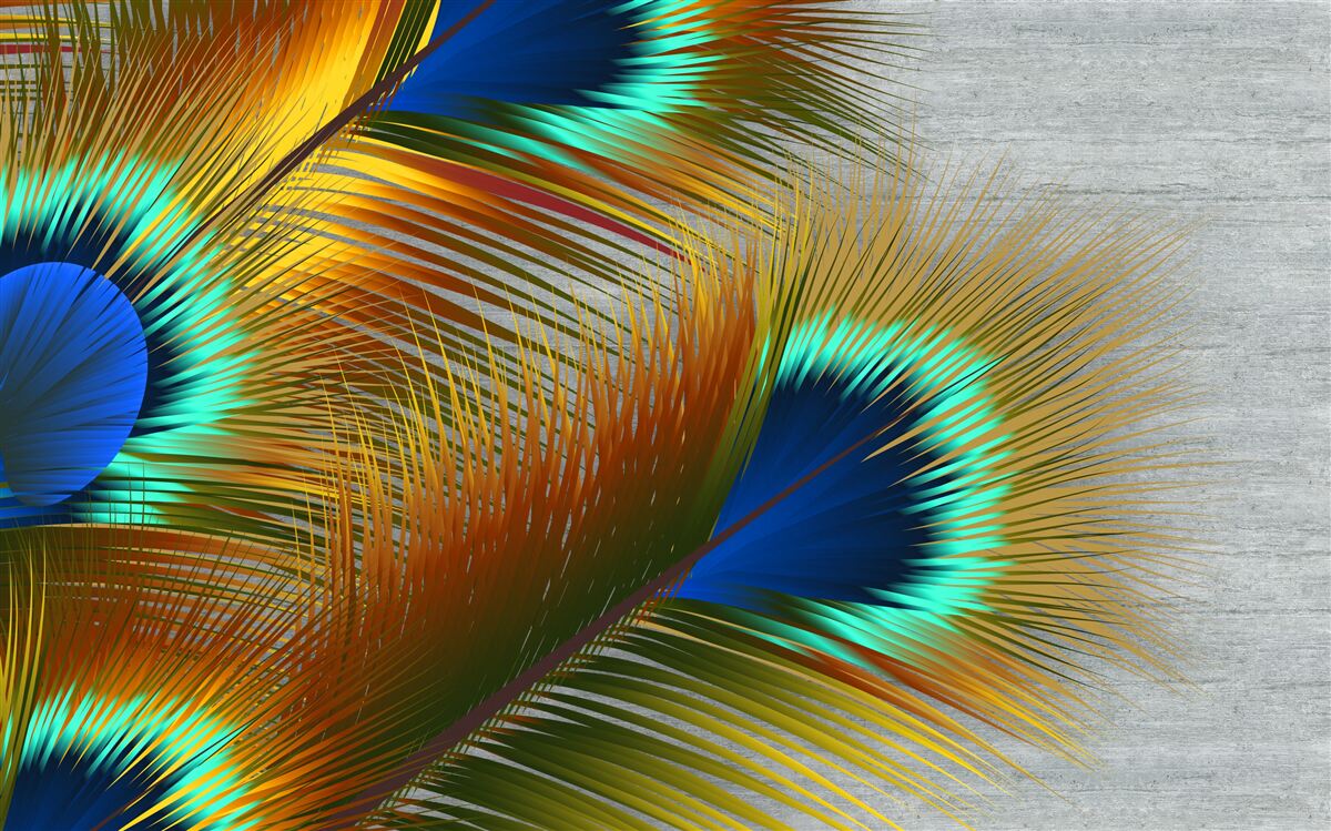 Fototapeta bujne pawie pióra