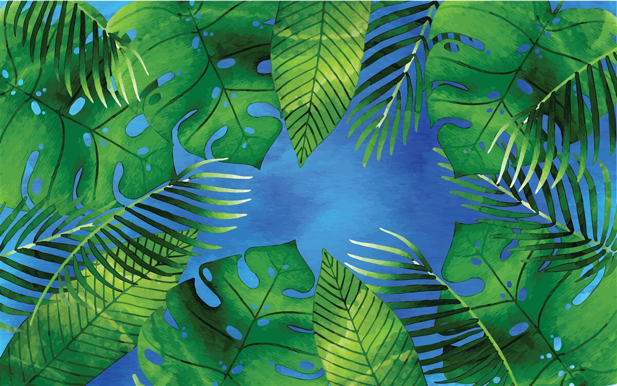 Fototapeta liście tropikalne otwierają się na błękitne niebo