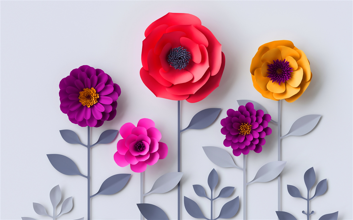 Fototapeta kolorowe kwiaty