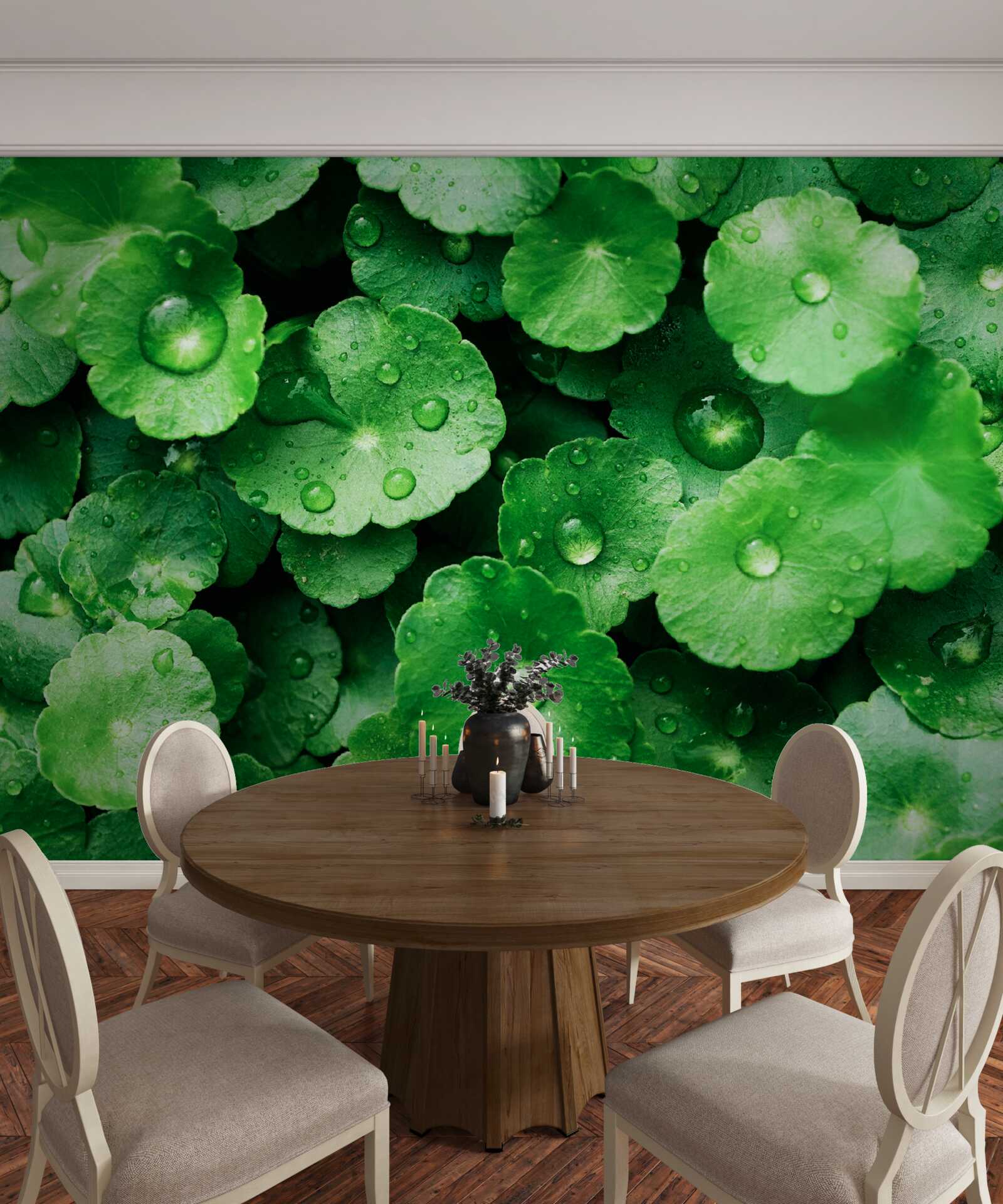 Fototapeta zielone liście pokryte świeżymi kroplami wody