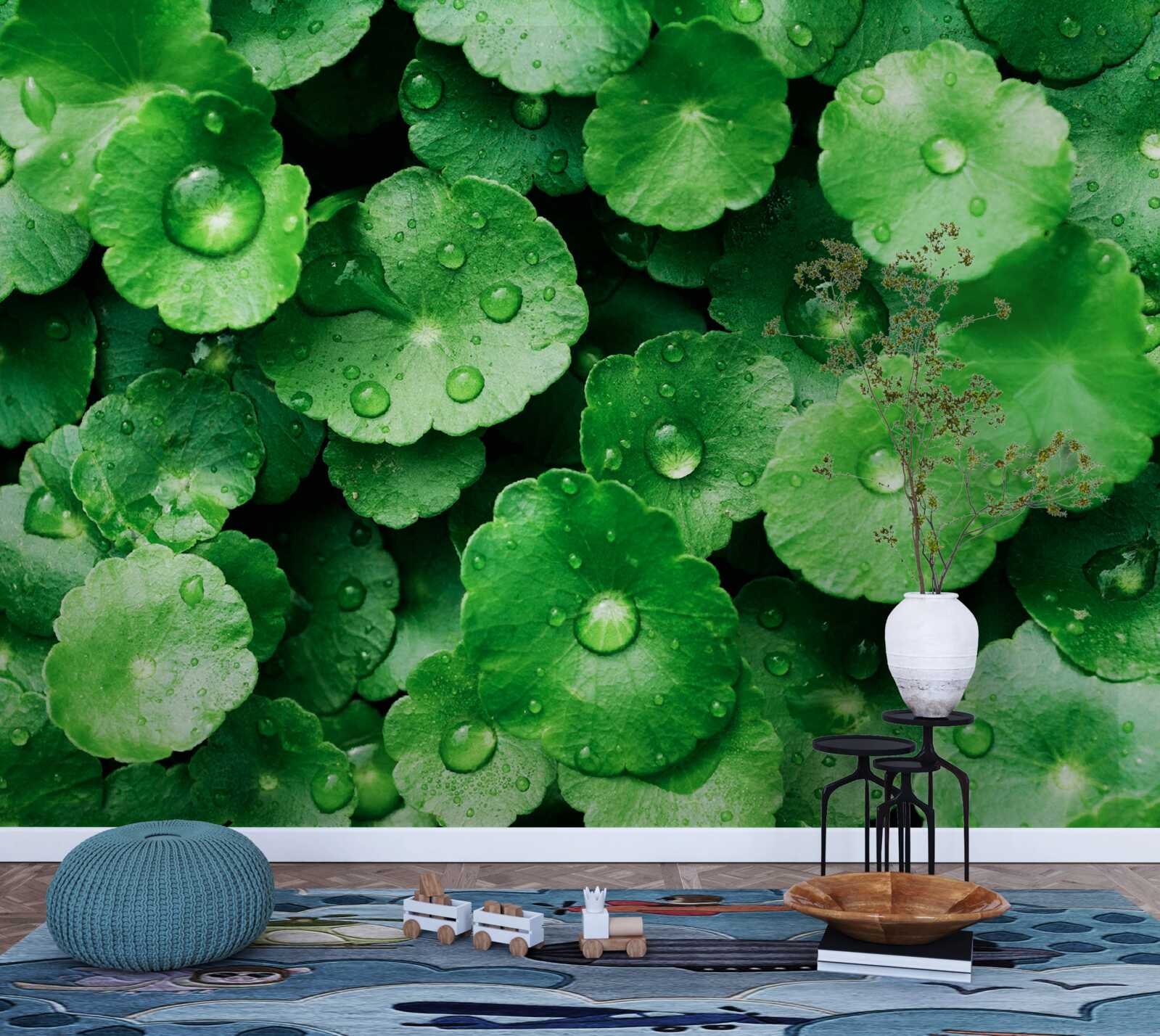 Fototapeta zielone liście pokryte świeżymi kroplami wody